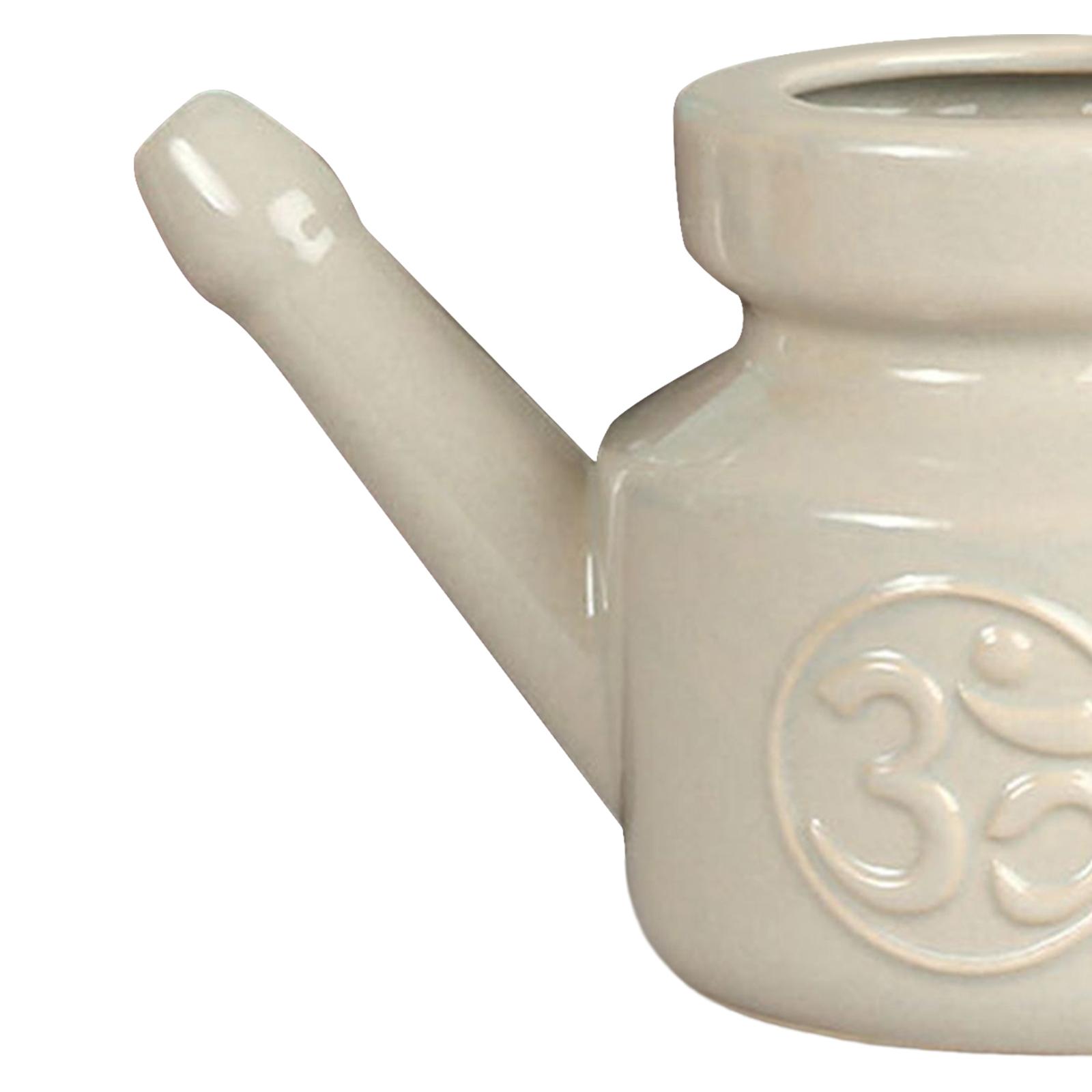 وعاء تنظيف الأنف سعة 350 مل مع - مراجعة Neti Pot Nasal Rinse وسعره