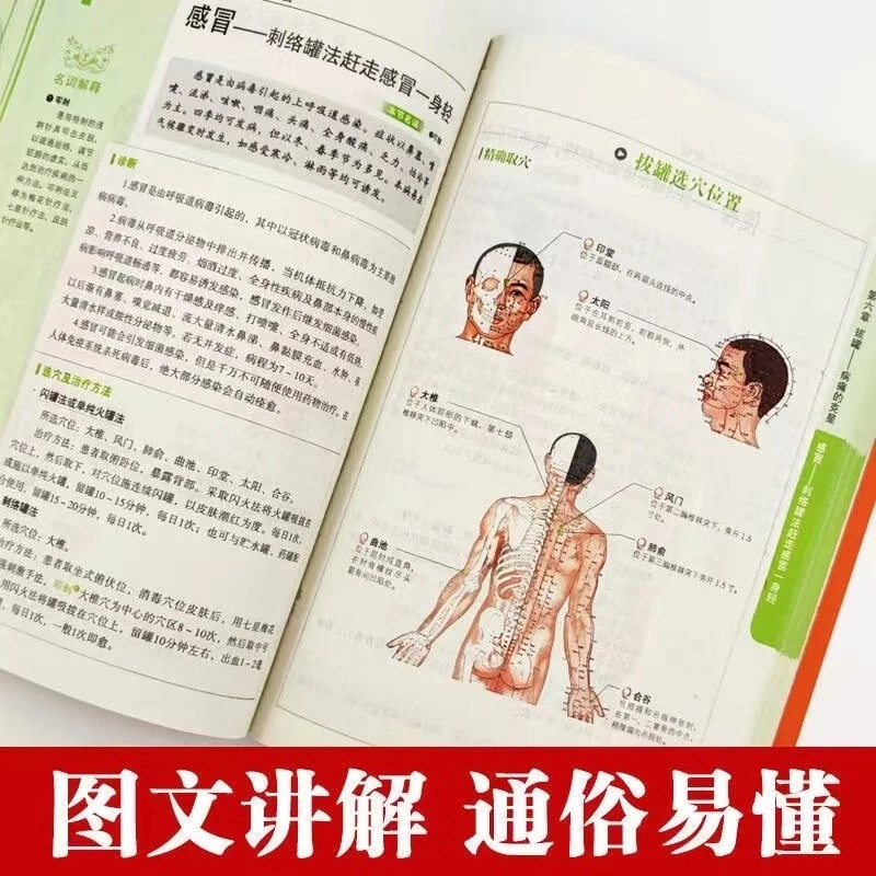 سلسلة الصحة والرفاهية الشاملة: - مراجعة Therapy Health And Wellness وسعره