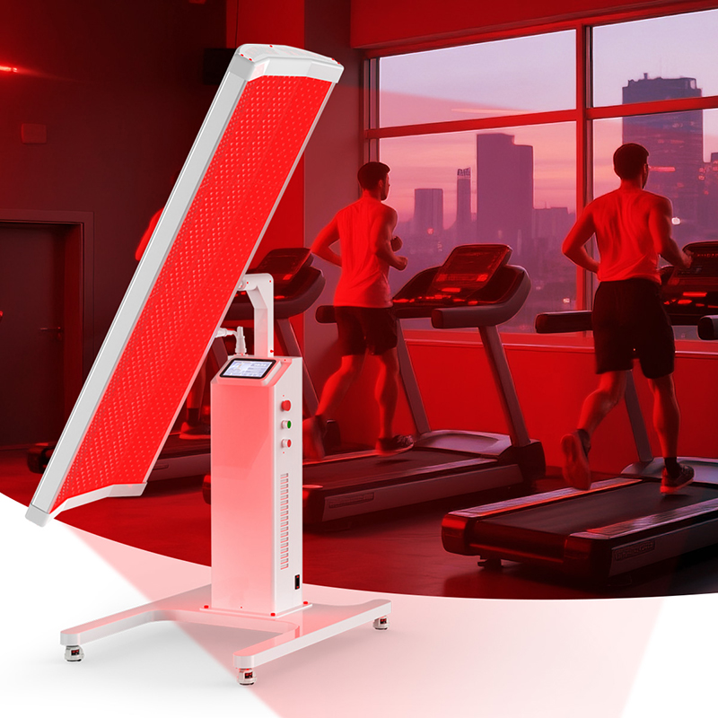 Suyzeko OEM طول العمر الرعاية  - مراجعة Longevity Health & Wellness Hotel وسعره