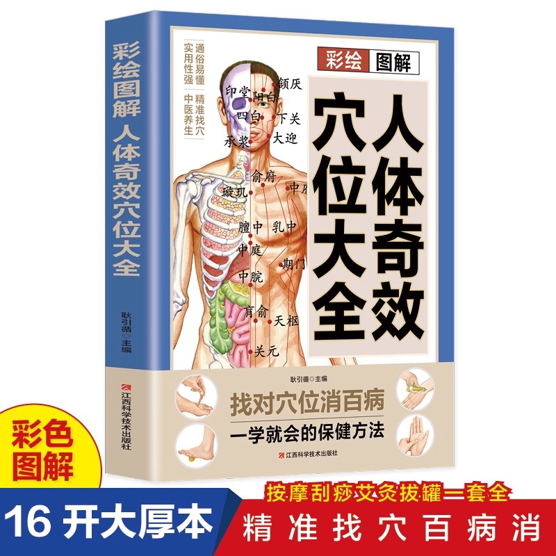 دليل تدليك نقاط الضغط والحفاظ  - مراجعة Health & Wellness Equipment وسعره